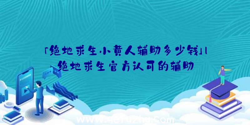 「绝地求生小黄人辅助多少钱」|绝地求生官方认可的辅助